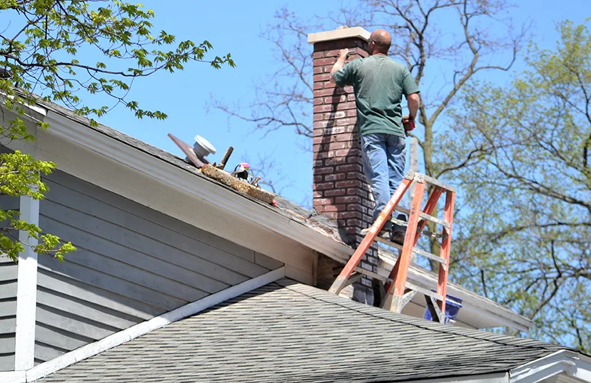 Chimney & Fireplace Inspections Services in Brigham City, UT